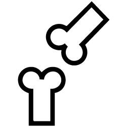 Ortopedia