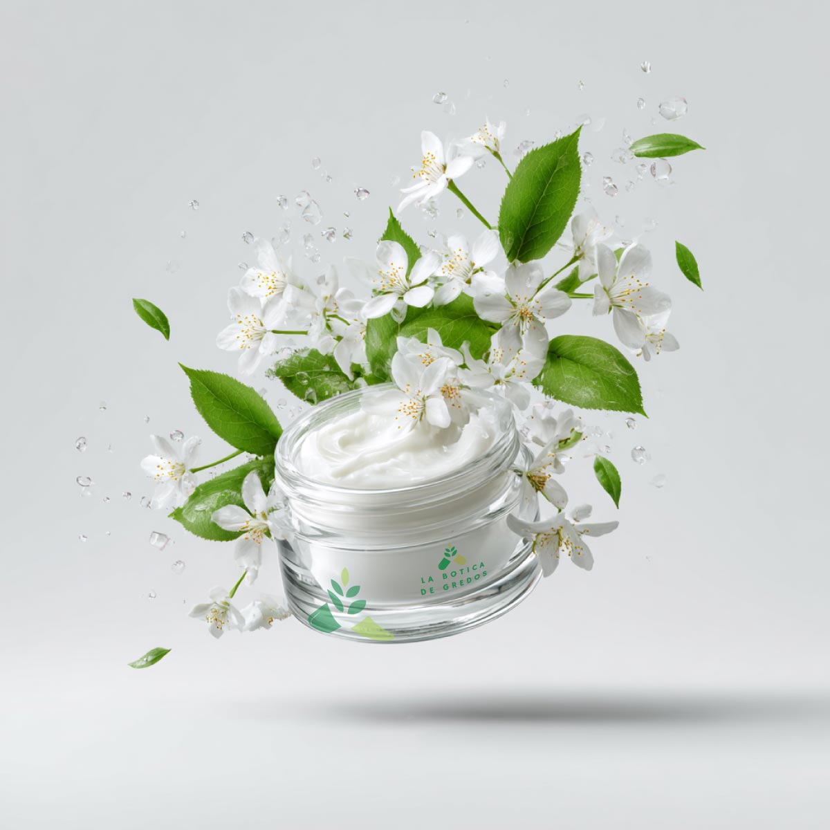 Traumeel S heel pomada 50g
